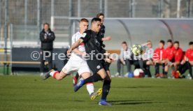 U19 VfB Stuttgart - U17 Eintracht Frankfurt